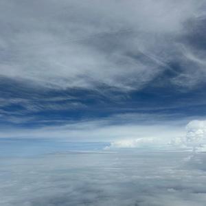 Shadows Of A Past Life