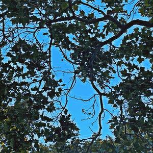 idontlikeme (feat. rarecandy) (Explicit)