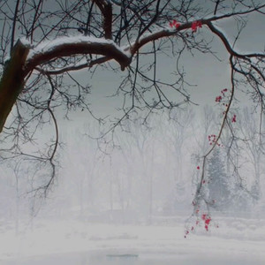 你是我一生的回忆