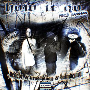 How it Go (feat. Thatscrazymenn & Vedebe) [Explicit]