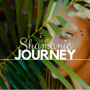 Shamanic Journey - 28 World Music Songs