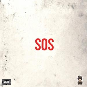 SOS (Signal Of Success)