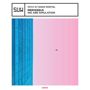 We Are Simulation (Diego Montiel Remix)