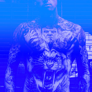 Above Ground From Seattle