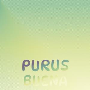 Purus Buena