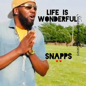 LIFE IS WONDERFUL
