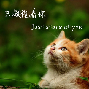 珍惜
