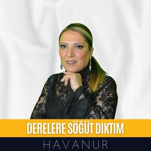 Derelere Söğüt Diktim