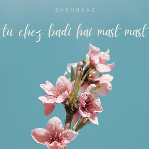 Tu Chez Badi Hai Mast