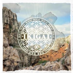 IKIGAI (Explicit)