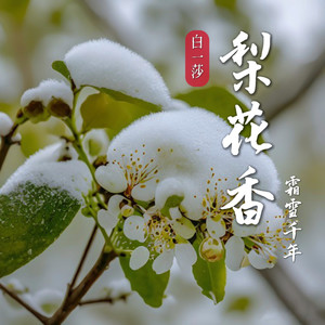 梨花香 (霜雪千年)封面