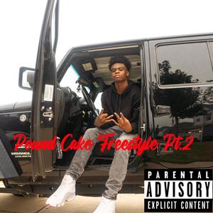 Sophmore Year (Pound Cake Freestyle Pt.2)
