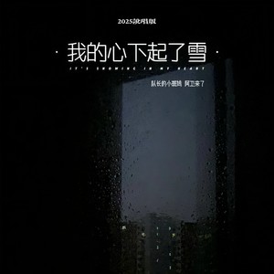 我的心下起了雪 (2025说唱版)