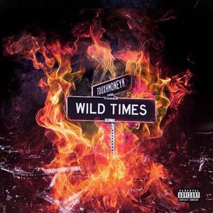 Wild Times (Explicit)