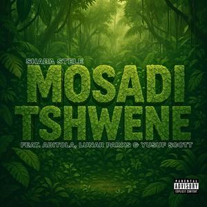 Mosadi Tshwene (Lost File) (feat. ABITOLA, Lunar Parks & Yusuf Scott) (Explicit)