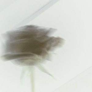 license (feat. cfa mike) (Explicit)