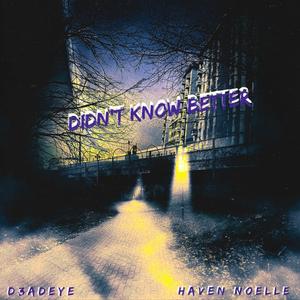 Didn't Know Better (feat. Haven Noelle)