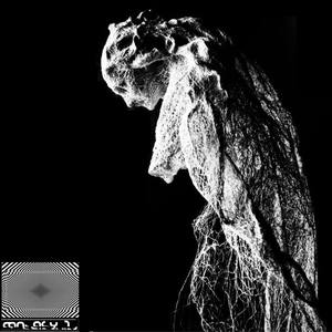 Into the Sun (Lp Version)