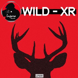Wild (Original Mix)