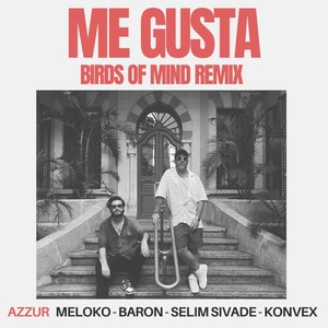 Me Gusta (Birds Of Mind Remix)