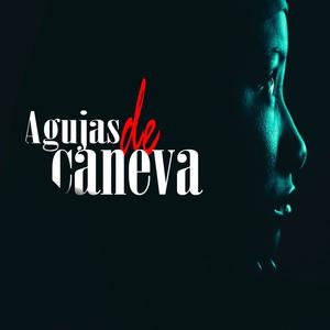 Agujas de caneva (Explicit)
