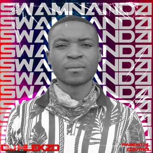 Swamnandzi