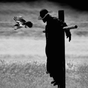 JEEPERS KREEPERS (feat. Patt2calm, AB Deady, 2XRK Rhon & HbDaG)