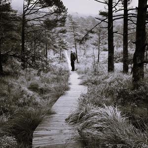 Having me (Explicit)