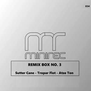In Love with Vienna (Sutter Cane Remix)