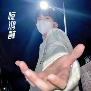 惊鸿醉 (DJ冲破版片段|DJ冲破版)