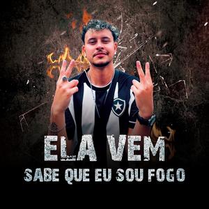 Ela Vem, Sabe Que Eu Sou Fogo (Botafogo Brasileirão 2024)