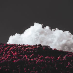 Meanwhile the World Goes On