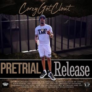 PRETRIAL RELEASE (Explicit)