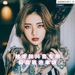 越南鼓抖音专用极品精选串烧