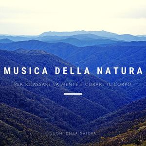 Musica della natura: Suoni della natura per rilassare la mente e curare il corpo