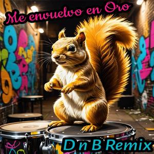 Me Envuelvo en Oro (Lion Kaplan Remix Drum n Bass)