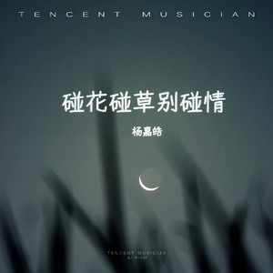 碰花碰草别碰情