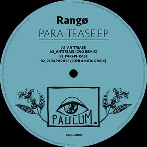Paraphrase (Roni Amitai Remix)