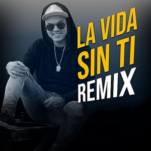 La Vida Sin Ti (Remix)