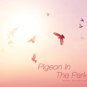 공원의 비둘기 (Pigeon in the park)