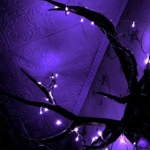 сознание (prod. zmny, moolahearner)