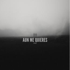 Aun Me Quieres (Explicit)