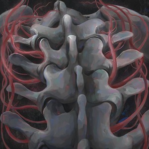 Spinal Symphony