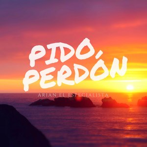 Pido Perdón