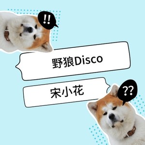 野狼disco