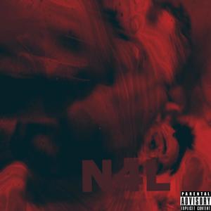 N4L (Explicit)