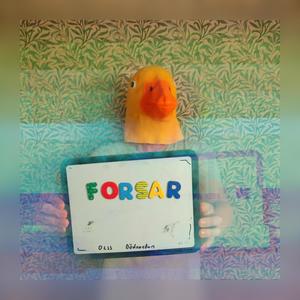 Forsar (Explicit)