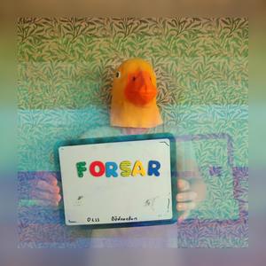 Forsar (feat. Olss Beats)