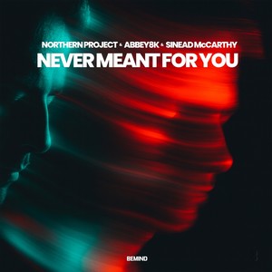 Never Meant for You (Extended Mix)