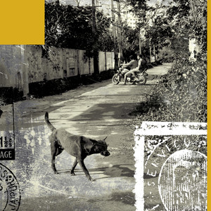 They lost Ayodhya for a pack of Lights (Explicit)